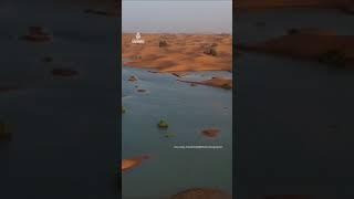 Ponds form in Moroccan desert after heavy rain | AJ #shorts