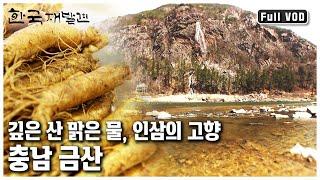 사계절 내내 인삼 향을 머금고 있는 청정자연을 고스란히 간직하고 있는 고장 충남 금산 ㅣ 한국 재발견 (KBS 20120428 방송)