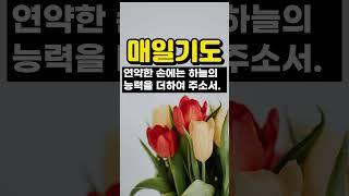 매일기도 / 매일하는 기도 / 오늘의 기도