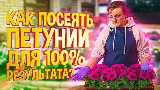 ПОСЕВ ПЕТУНИЙ! КАК ПРАВИЛЬНО? ЛУЧШАЯ ШПАРГАЛКА ДЛЯ ДАЧНИКА