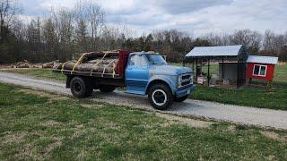 Firewood in the Field Episode 2: Log Hauling Truck