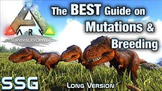 ARK SURVIVAL The Best Guide on Breeding Stat Mutations SeeShellGaming