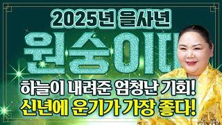 2025년 미리보는 을사년 원숭이띠운세'하늘에서 빛을 내려주신다' 내년에 원숭이띠분들은 인생이 달라집니다! 하늘이 내려준 엄청난 기회 꼭 쟁취하세요!