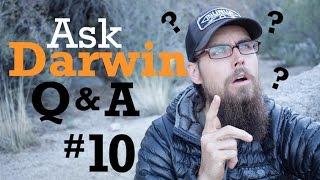 Ask Darwin Q&A #10 (Answers!)
