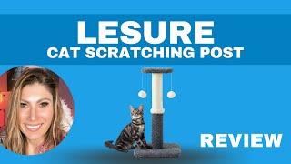 LESURE Cat Scratching Post for Indoor Cats REVIEW