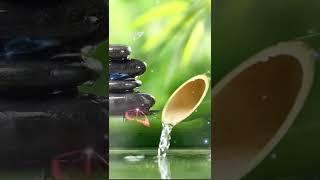 La Mejor Música Para Relajar El Cerebro Y Dormir, Calmar Tu Mente Para Dormir • Sueño Profundo
