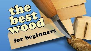 Picking the Best Wood for Whittling and Wood Carving for Beginners