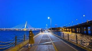 Seoul Night Walk 4K - A peaceful night, walking along the Han River, World Cup Bridge  |  Relax