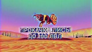 Качаю лису до 200 лвл! + ВАЖНАЯ ИНФА В КОНЦЕ