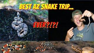 Amazing Arizona snake adventure! (Best one yet! Field Herping)