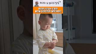 어린이집 가기위한 교육을 합시다! 혼내서미안해 ㅜ#어린이집#교육#등원#예절교육#장난감