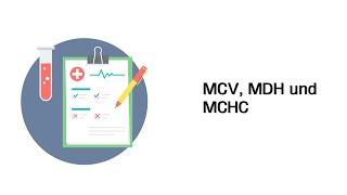 MCV, MCH und MCHC - Laborwerte / Blutbild