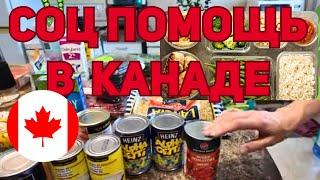 VLOG: Сложности в Канаде…но есть помощь//Бессплатка в КАНАДЕ//Фудбанк//Влог