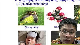 bài 4   Khai niem ve nang luong va chuyen hoa vat chat