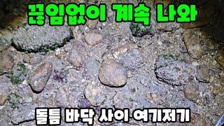 밤 해변에 밤새도록 끊임없이 나오는 이것? 잡아서 바로 먹어보자 ft.아투더빠