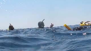 Freediving Brazilian NR CWTB -62m