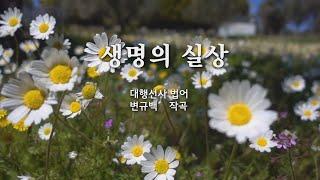 생명의 실상