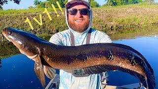 Bullseye Snakehead 1v1 Tournament with FloBass!! (South Florida)