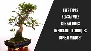 Discover the Art of Bonsai: The Ultimate Beginner's Guide