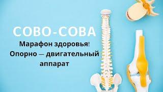 Как убрать остеохондроз, грыжи межпозвоночные, артрозы, сколиоз | Марафон здоровья | Сово-Сова