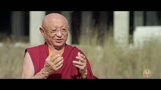 Lumbini Updates by H.E. Chokyi Nyima Rinpoche - 2023