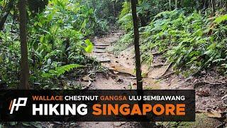 [Hiking Singapore] Wallace Trail, Chestnut Nature Park, Gangsa Trail, Ulu Sembawang