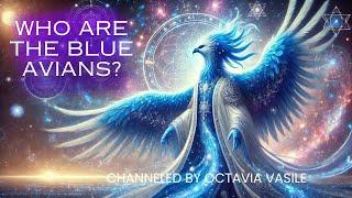 Who are the BLUE AVIANS?