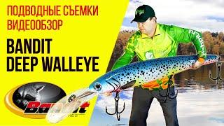 Троллинговый воблер Bandit Deep Walleye 120F обзор