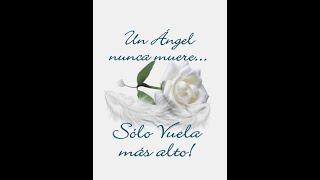 VUELA ALTO ANA NUÑEZ