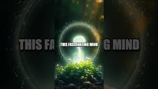 The Astonishing Power of the Mind-Body Connection