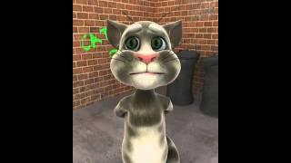 rock on freaky bro-talking tom