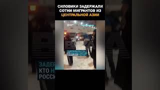 Силовики задержали сотни мигрантов после рейда на складе Wildberries в Подмосковье