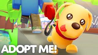 The PET NEEDS REVAMP UPDATE!  Care For YOUR PETS In BRAND NEW WAYS! Adopt Me! Update Trailer!