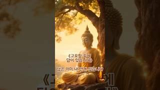 《고요함 속에 답이 있습니다》 | 답은 이미 내 안에 있습니다 | 마음이 괴로울 때 #마음챙김 #부처님말씀 #명상 #내려놓음 #마음공부 #부처님명언