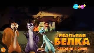 Плашка "Реальная белка" Фрагмент мультфильма "Босс-молокосос" (Карусель 05.09.2024)