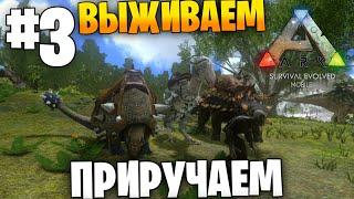 Приручаем, выживаем | Ark:Mobile #3 | Локальное выживание PvE | Выживание в Арк Мобайл