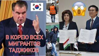 Прощай Россия? Таджикистан подписал документ об отправке Таджиков в Южную Корею на заработки!!