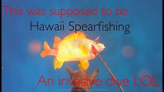 This was supposed to be an Invasive Dive | Hawaii Spearfishing 2020 |