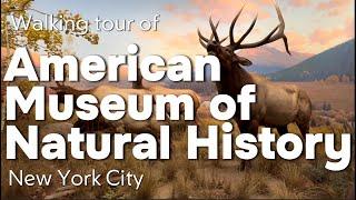 American Museum of Natural History in New York City Walking Tour