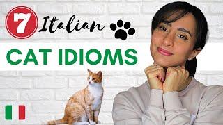 7 Italian Idiomatic Expressions with Cats  to Improve your Fluency!