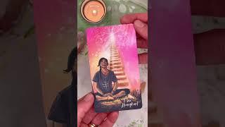 Busca y brinda sabiduría - Consejo del Sumo Sacerdote #tarot #tarotterapeutico #tarotevolutivo