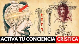 Las enseñanzas ocultas de Jesús para activar la glándula pineal