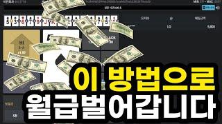 하이로우 고수익, 이렇게 배팅합니다 #하이로우 #하이로우배팅법