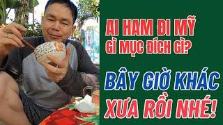 Ai còn Ham đi Mỹ chứ Dương Trung Hiếu ỚN lắm vì sao?