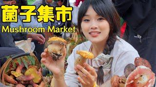 Delicious wild mushroom market！【叫我阿霞Channel】