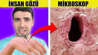 SADECE MİKROSKOP İLE GÖREBİLECEĞİNİZ 10 ŞEY!