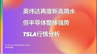 【布布为赢】英伟达再度新高跳水，但半导体整体强势，TSLA行情分析