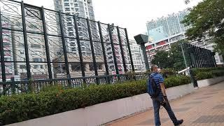 Beautiful playground here at hoi sham park