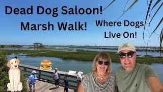 A MARSH WALK GEM! Dead Dog Saloon! Where Dead Dogs Are Celebrated! (Murrells Inlet, SC)