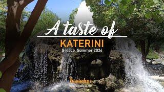 A taste of Katerini, Greece 2024